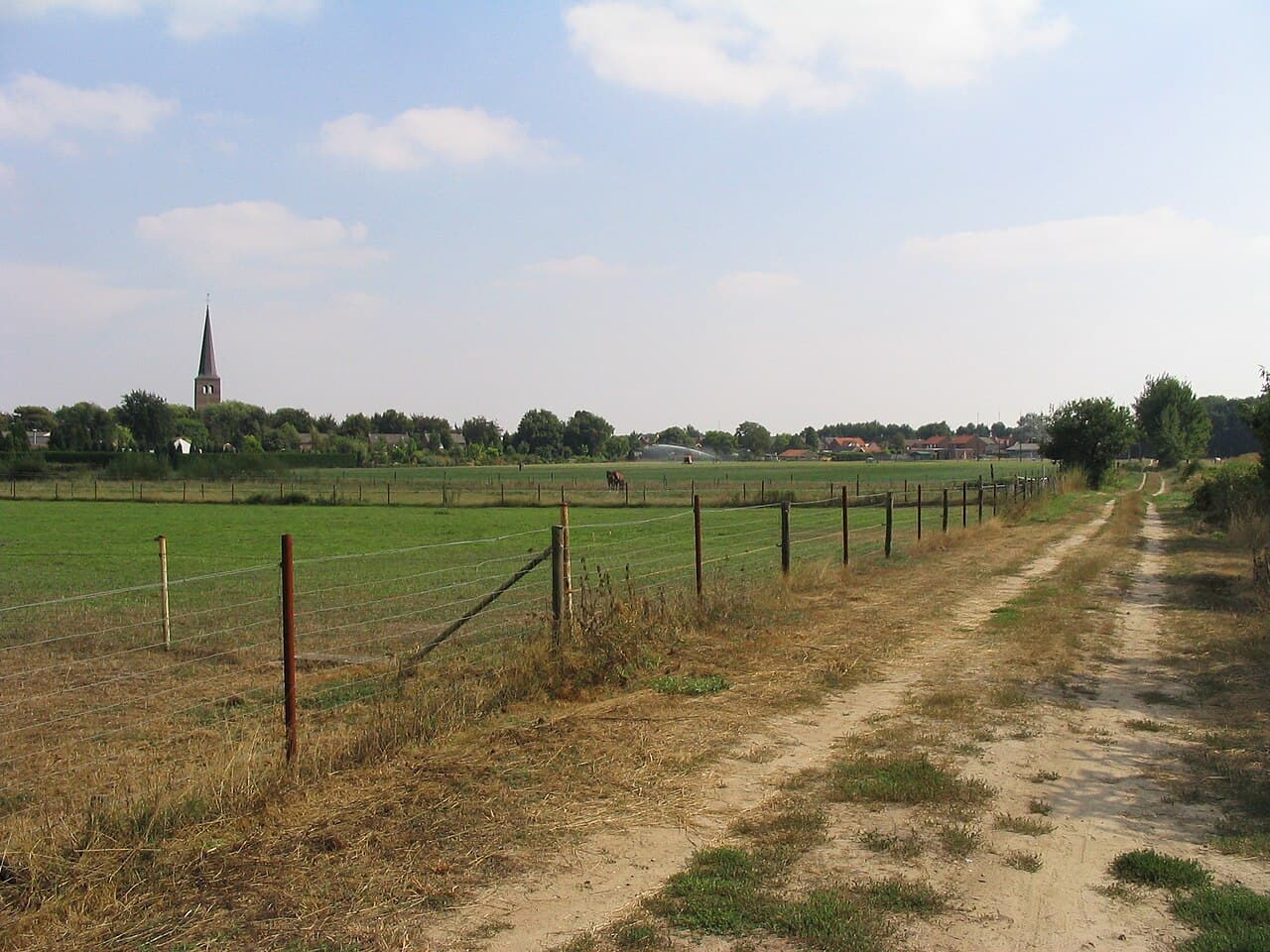 Peel en Maas