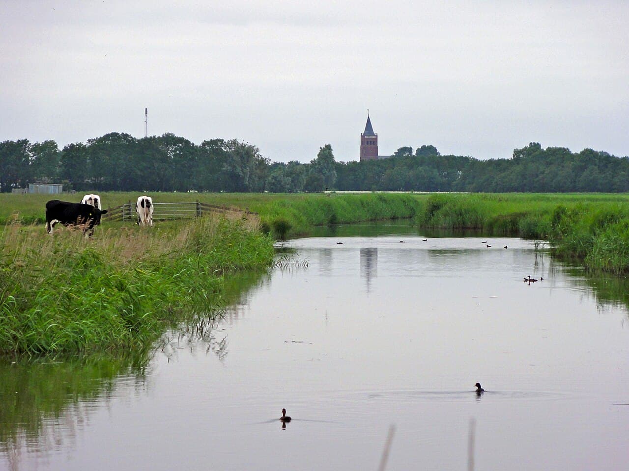 Waadhoeke