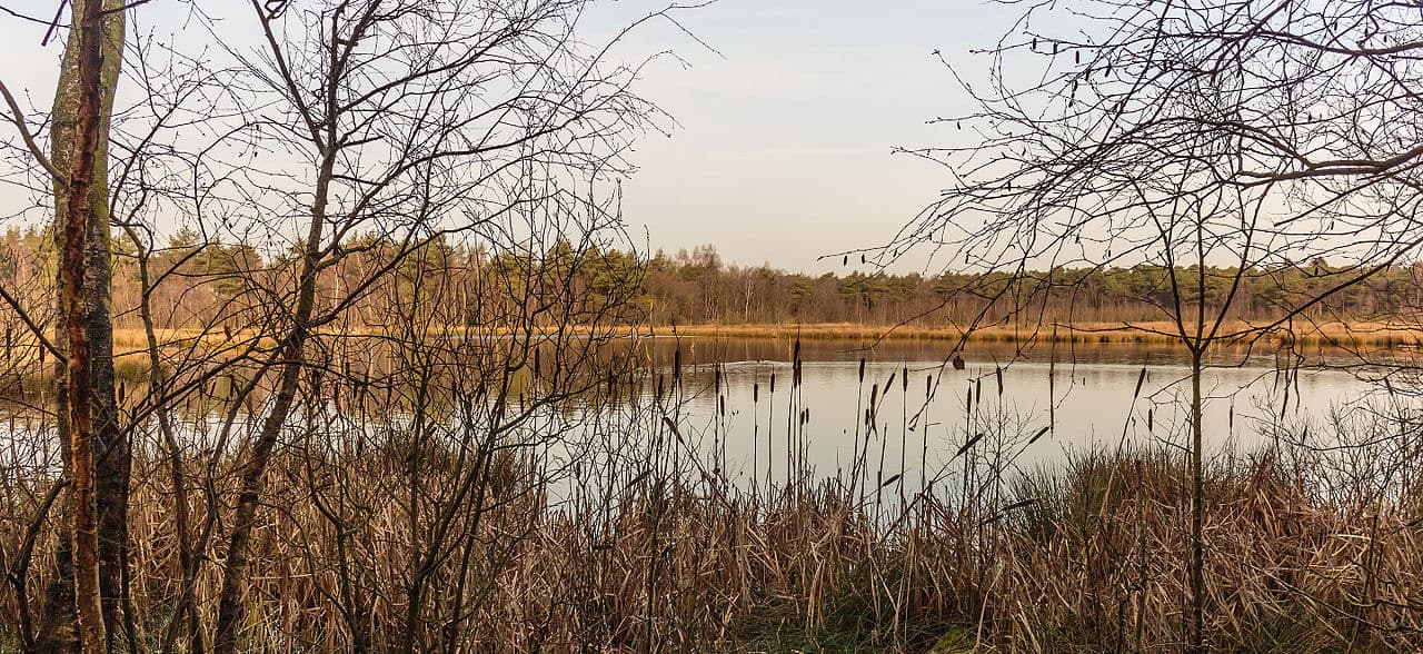 Ooststellingwerf